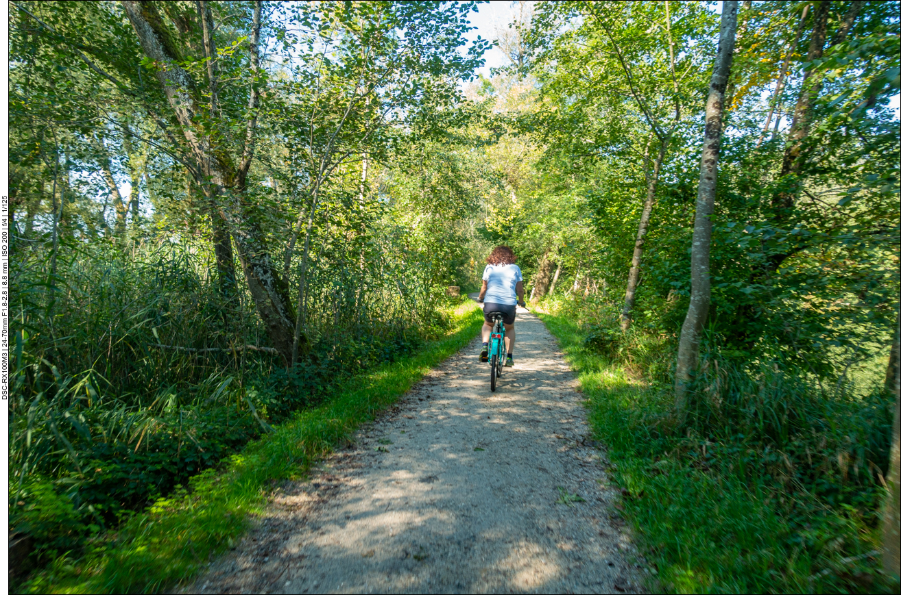 Die Wege parallel zum See ...