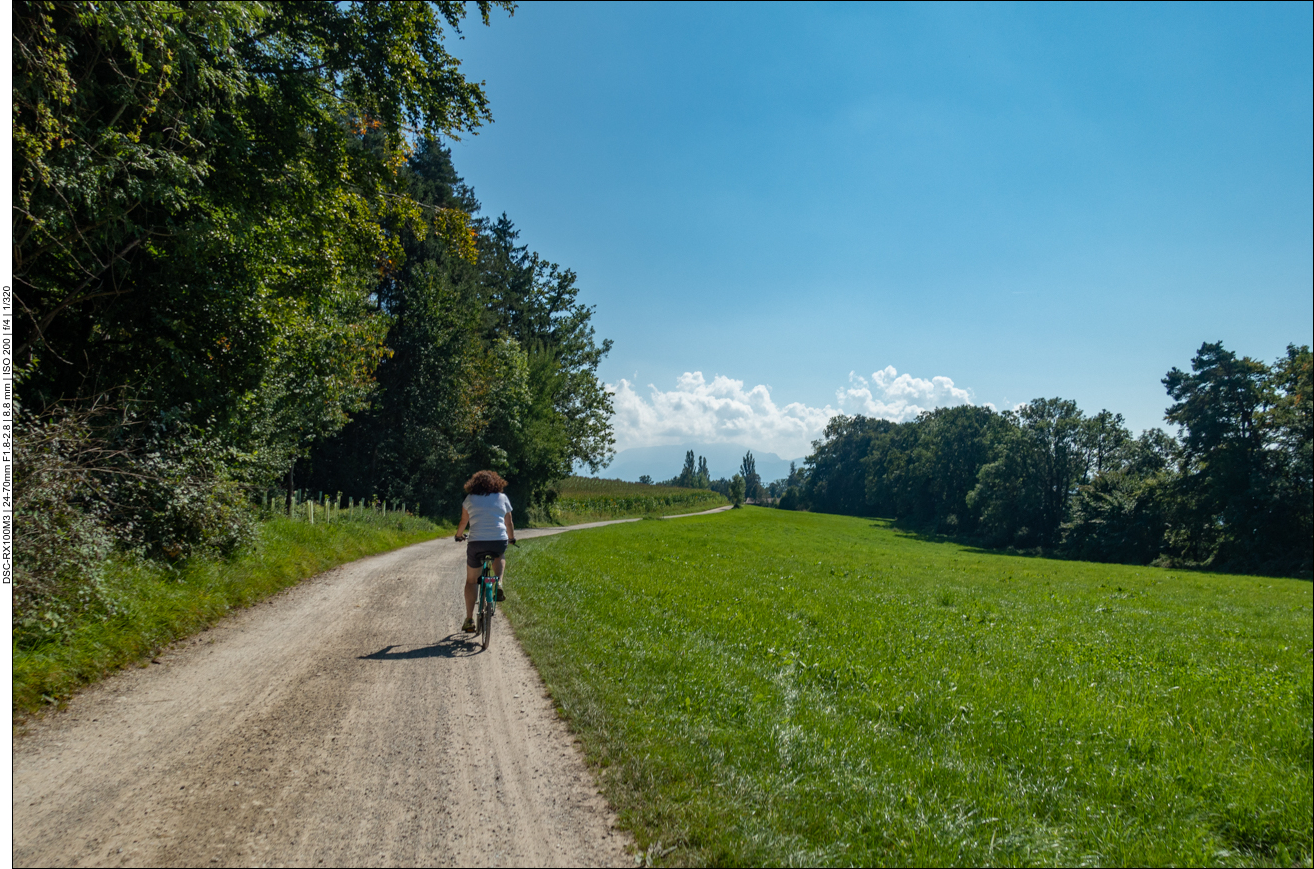 Hier haben wir den See schon fast umrundet