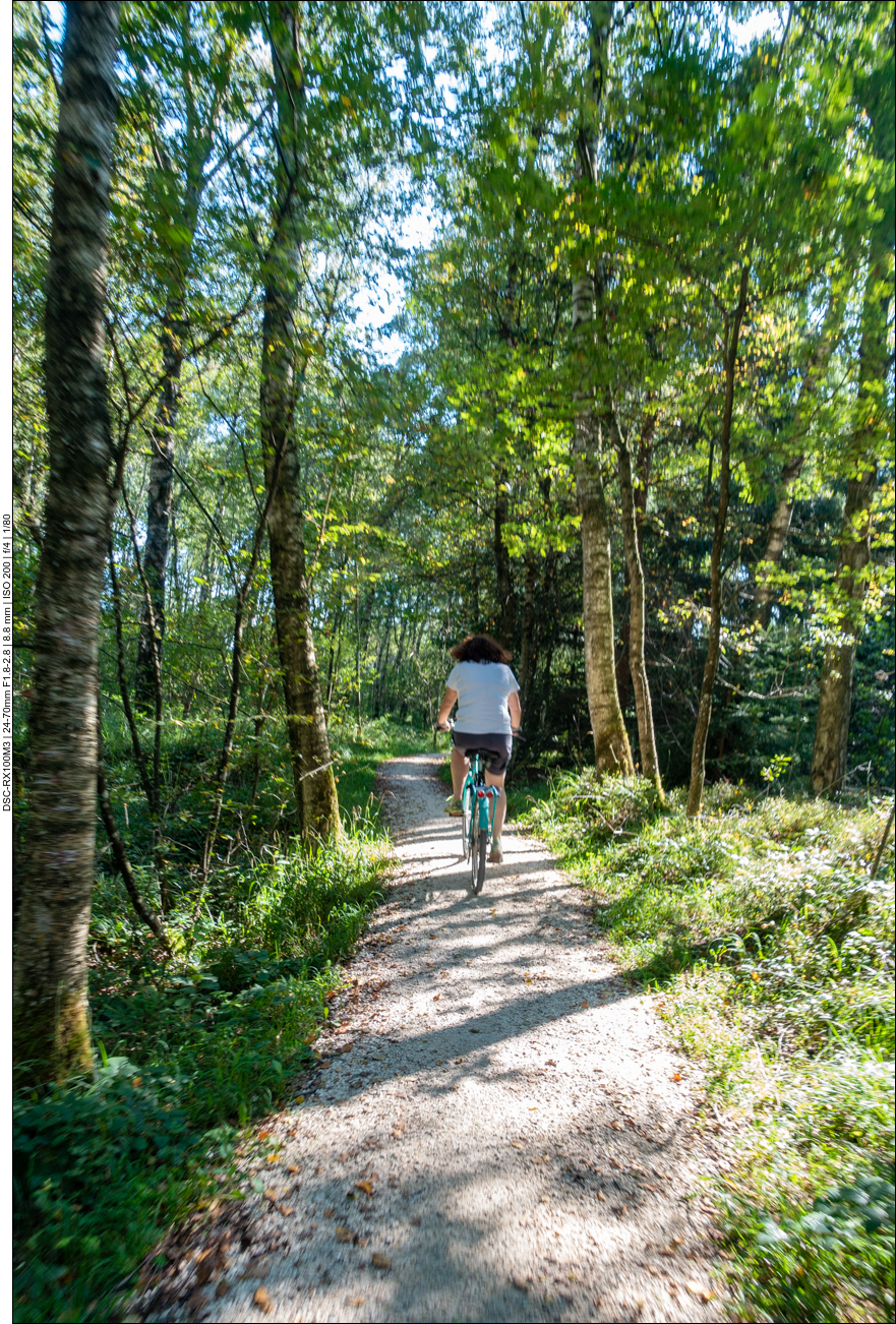 Noch ein Stück durch den Wald ...