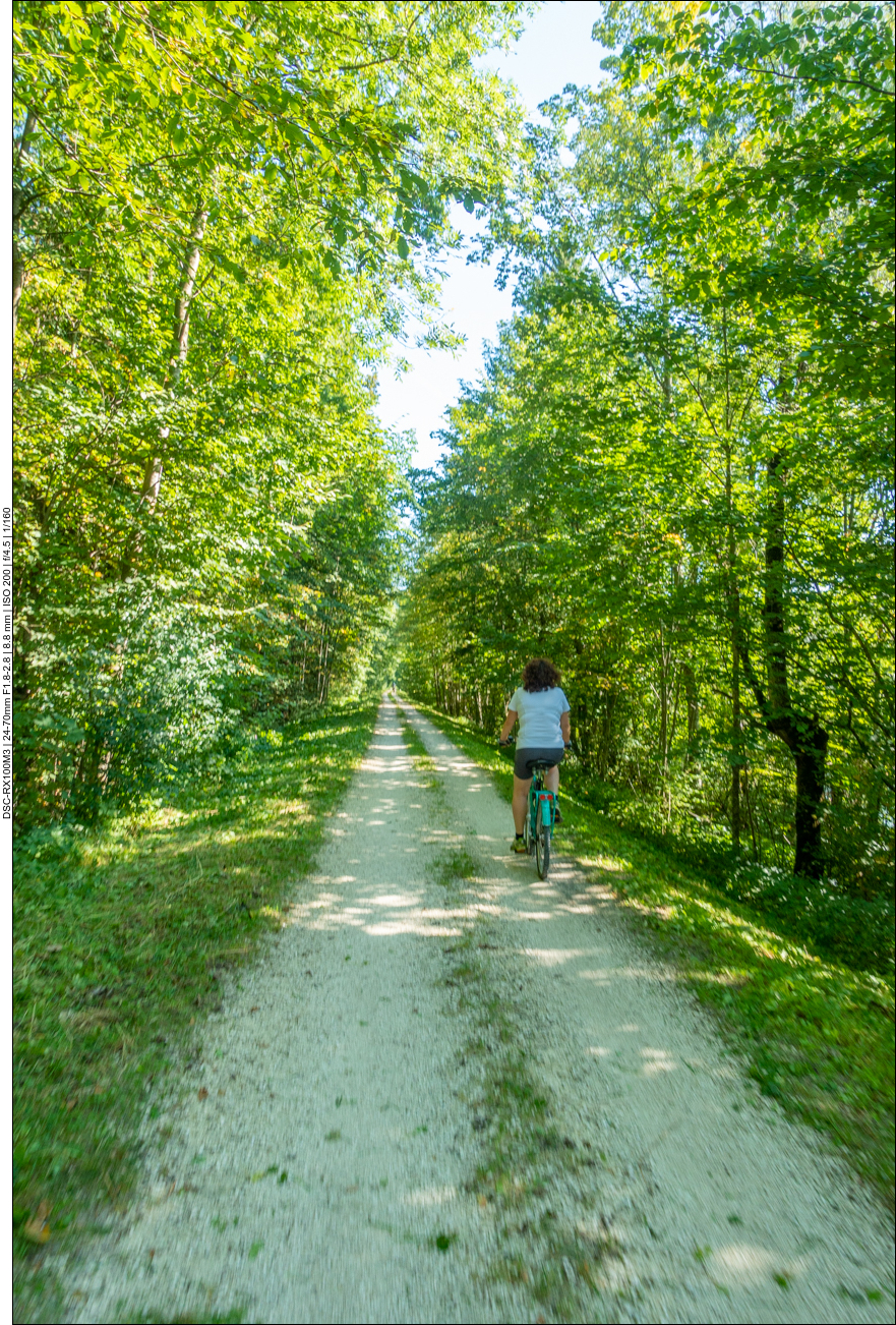 Schattiger Weg an der Ache