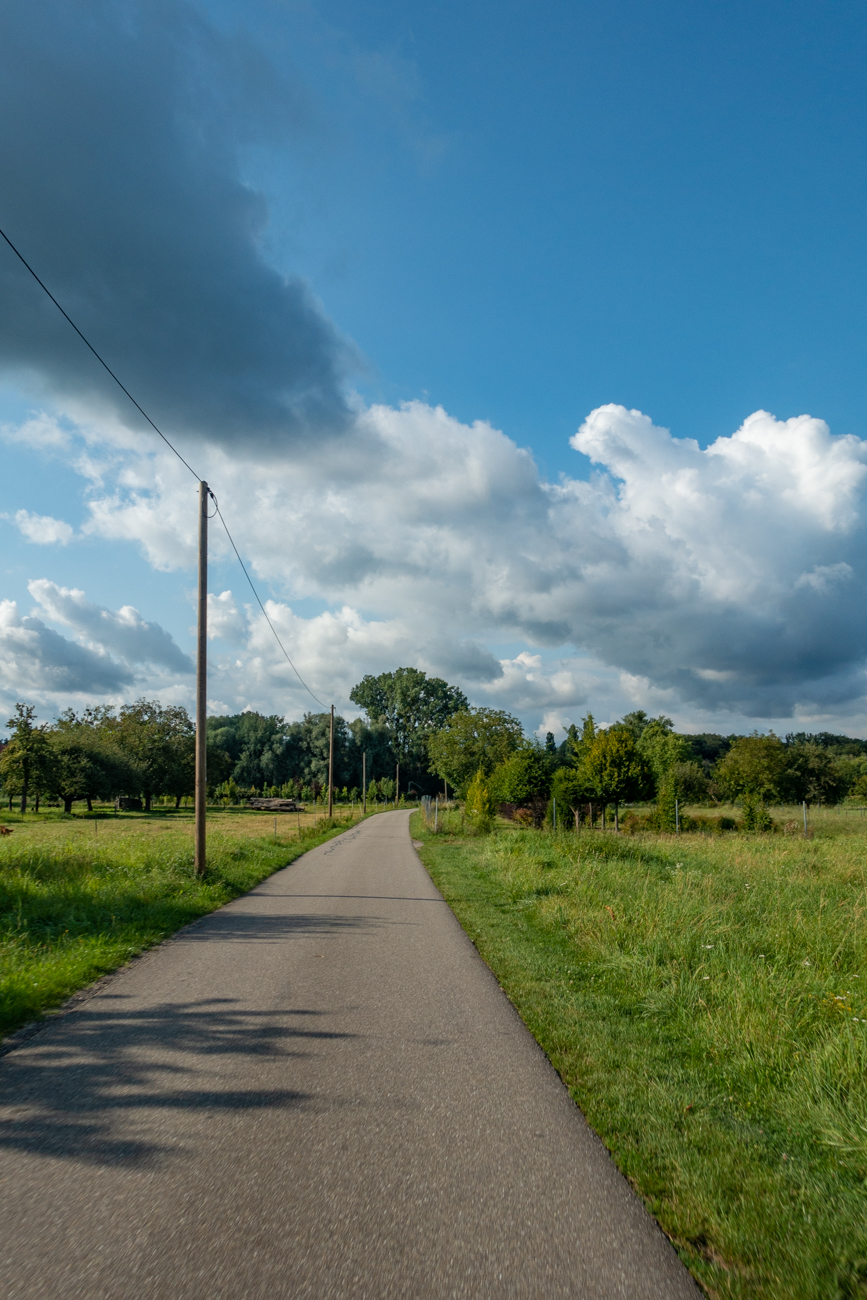 Ein Wirtschaftsweg führt aus Berg hinaus