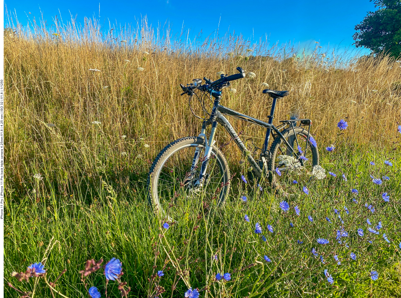 Fahrrad-Statistik