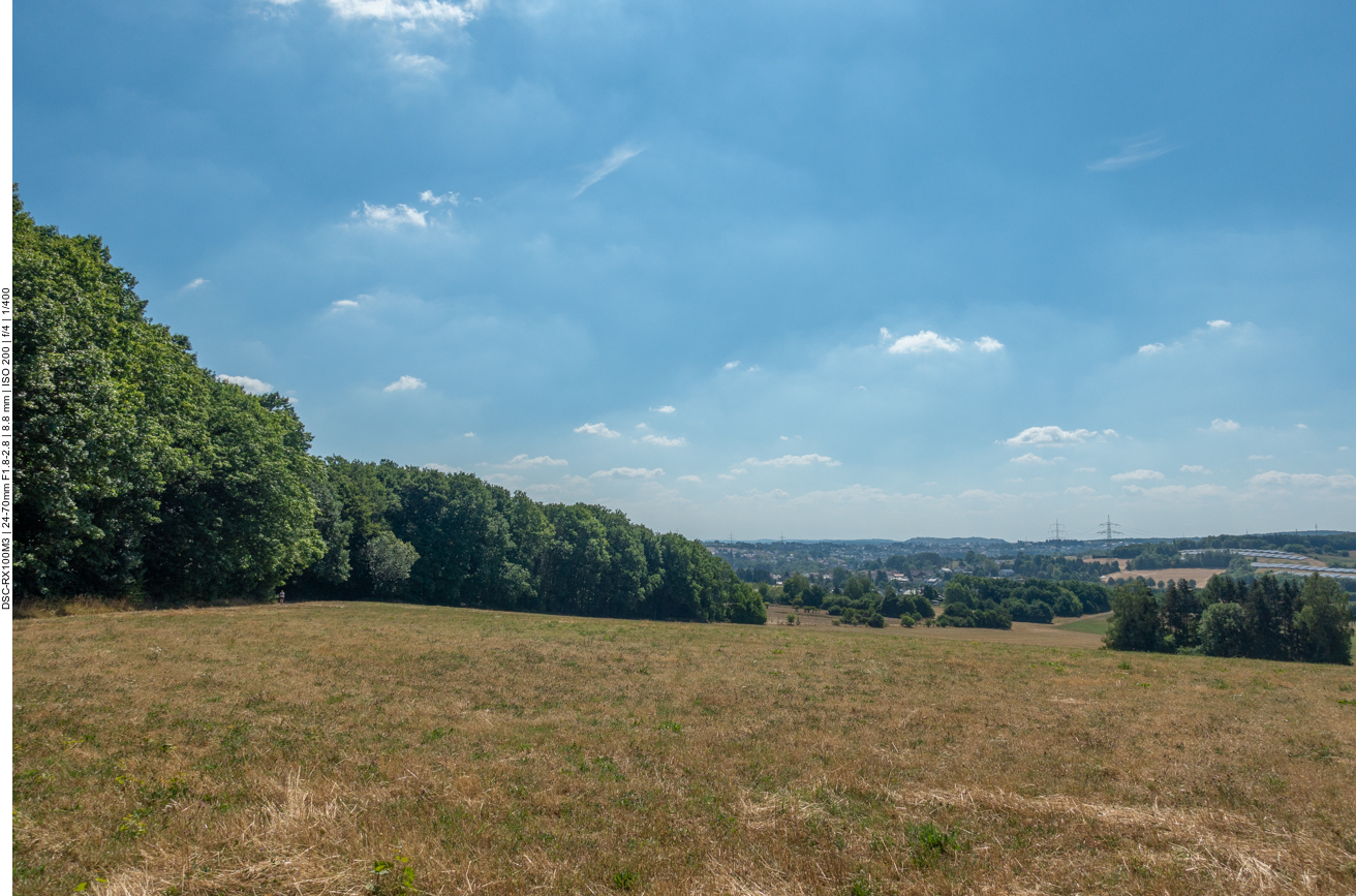 ... mit Ausblick