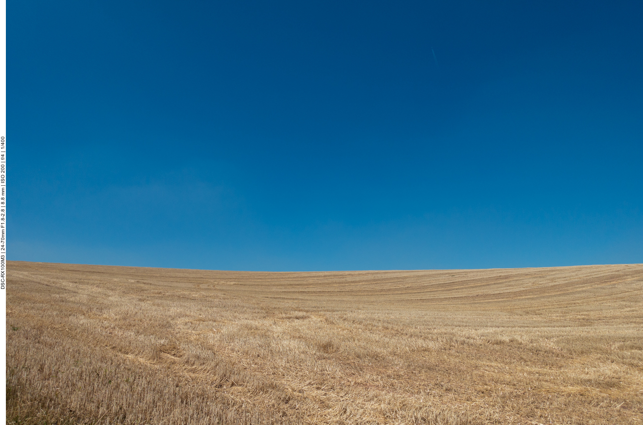 Kornfeld