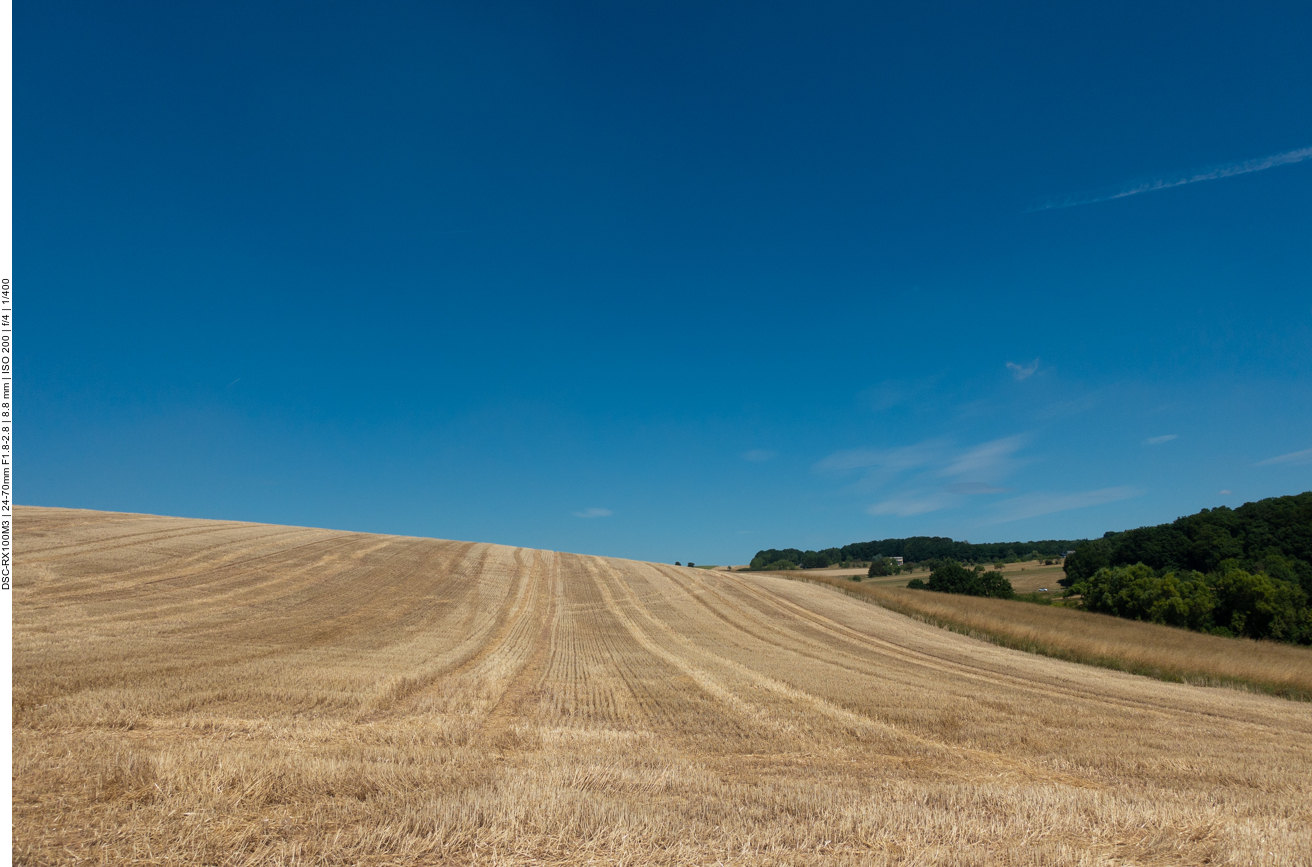 Kornfeld und bewaldete Hügel
