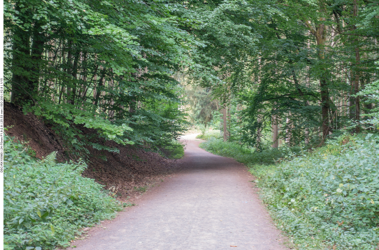 ... und Wald