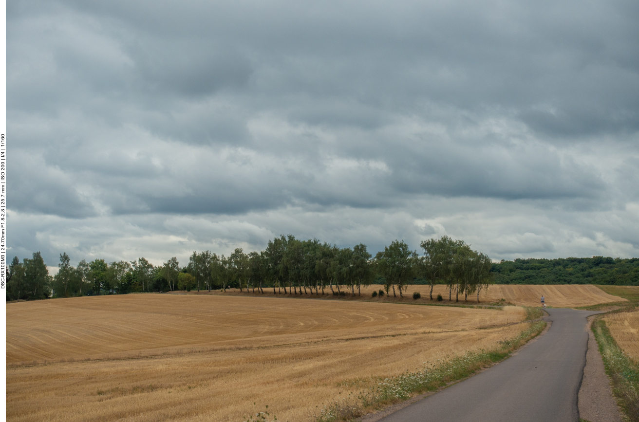 Halbseitige Allee voraus