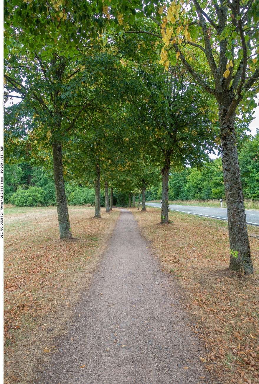 Kleine Allee neben der Straße