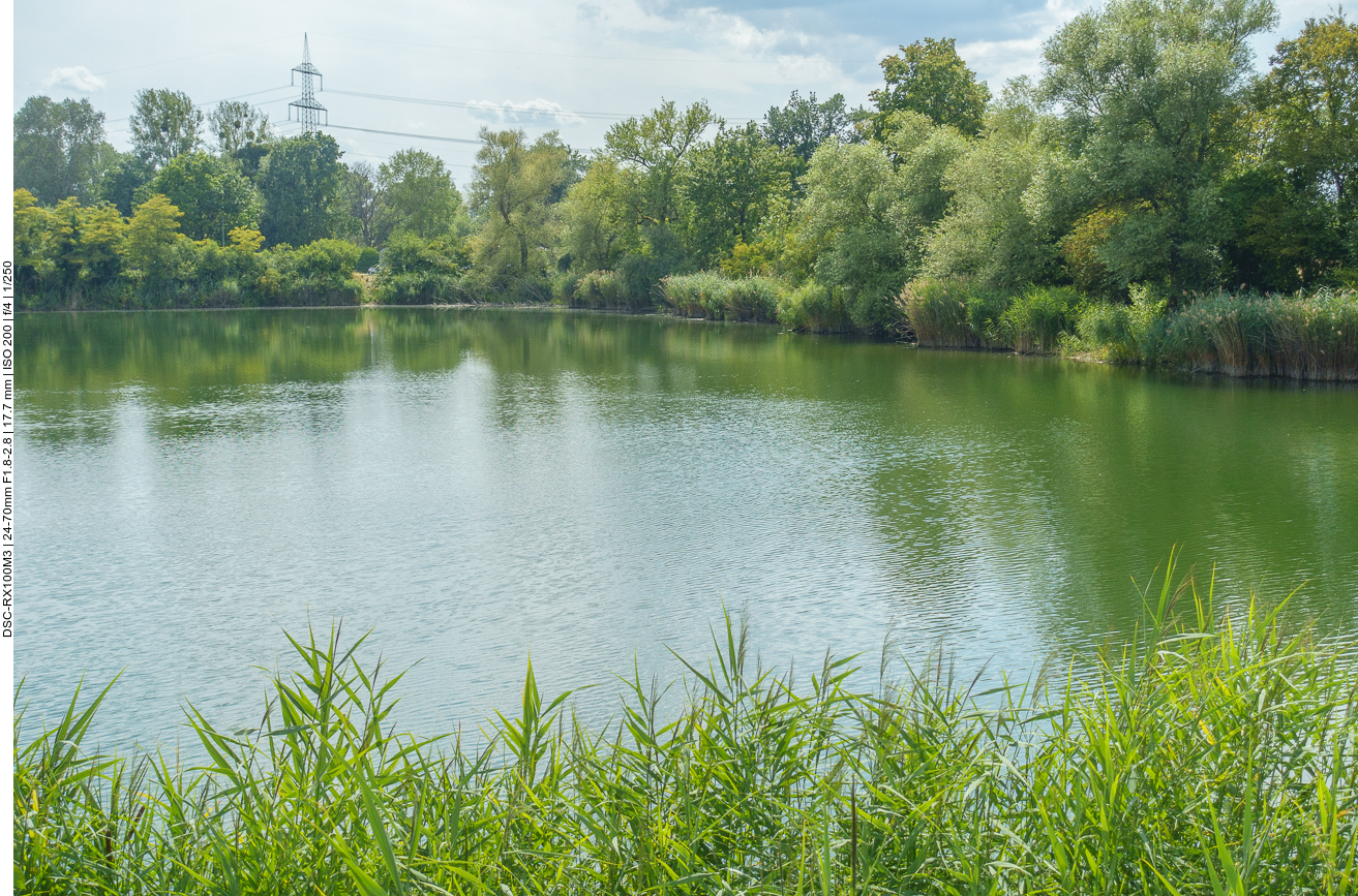 Schöner Teich 