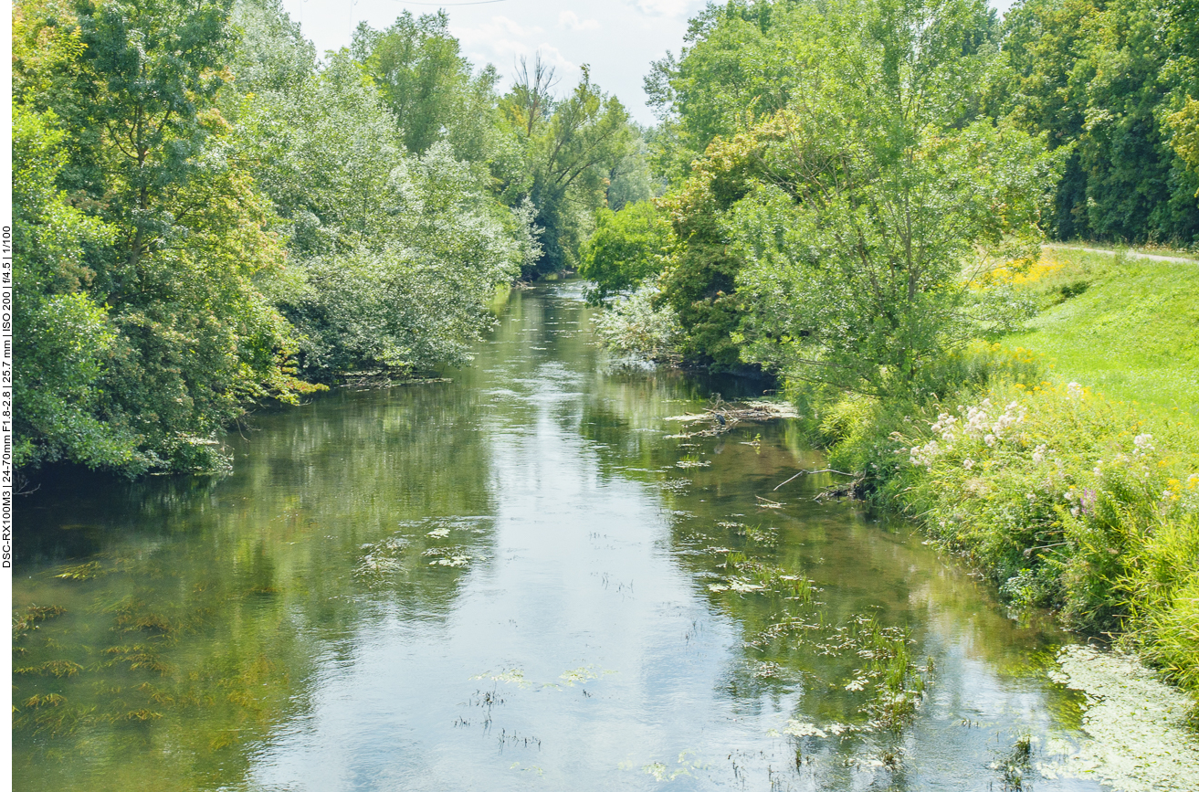 Die Alb kurz vor der Mündung in den Rhein 