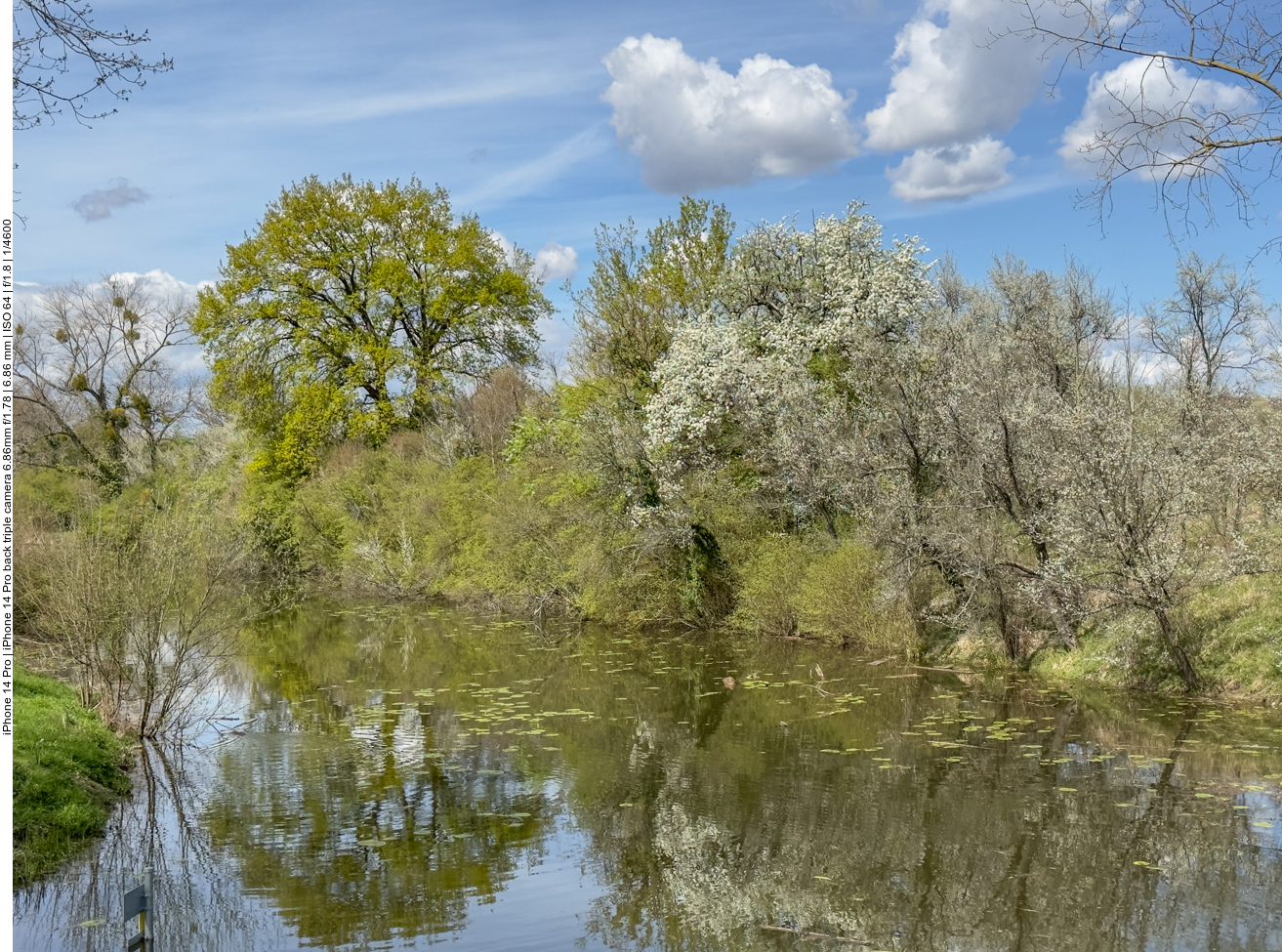 In den Rheinauen 