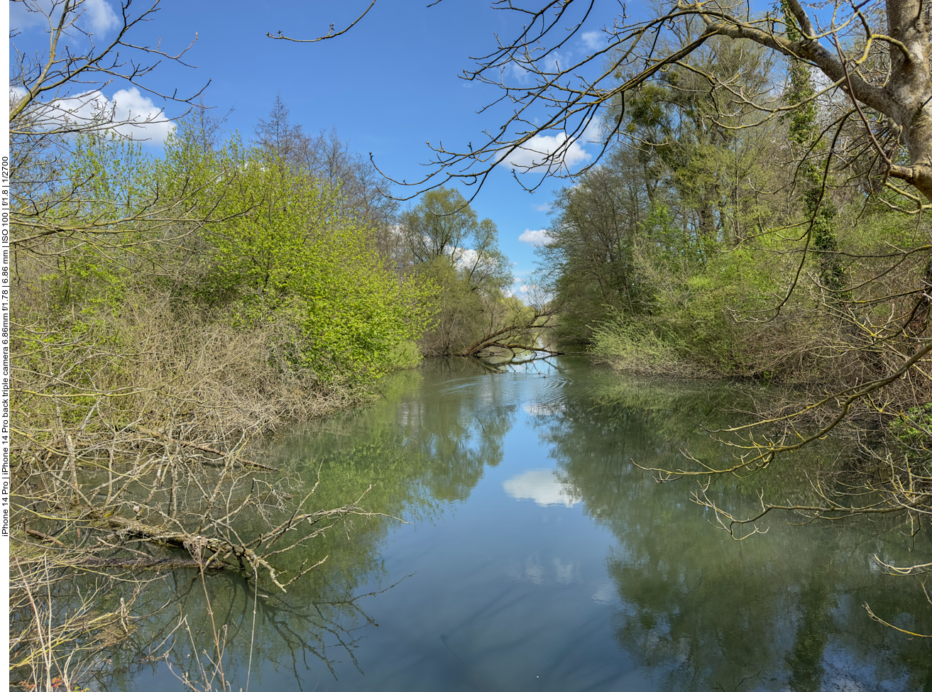 In den Rheinauen 