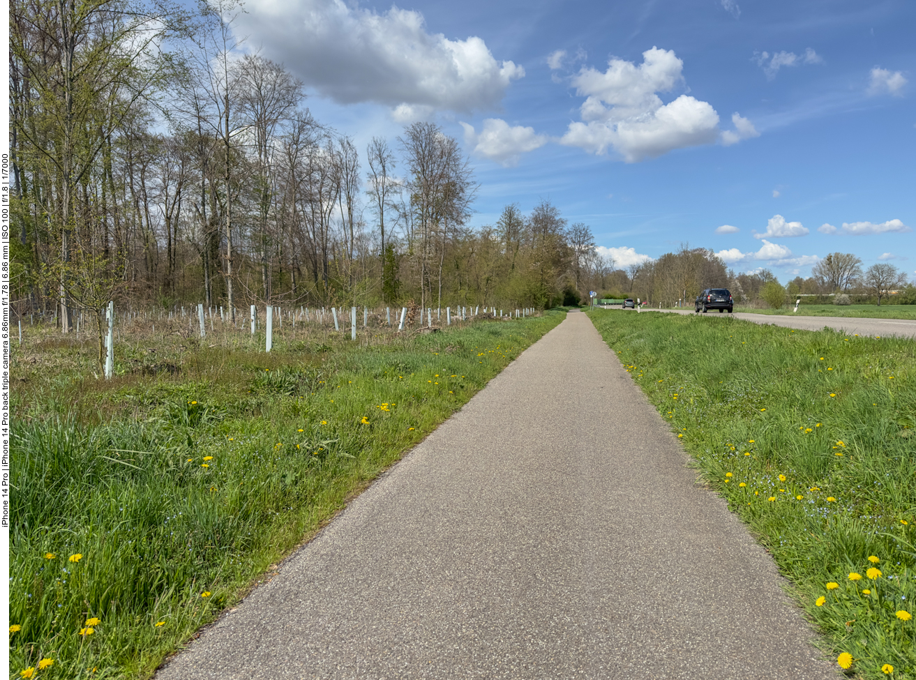 Fast wieder zuhause 