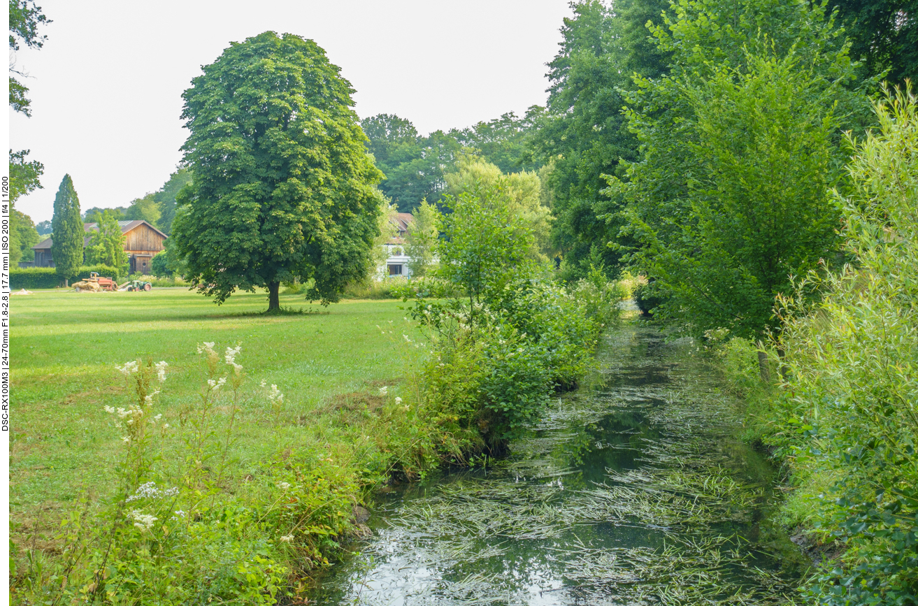 Der Schwalbach 
