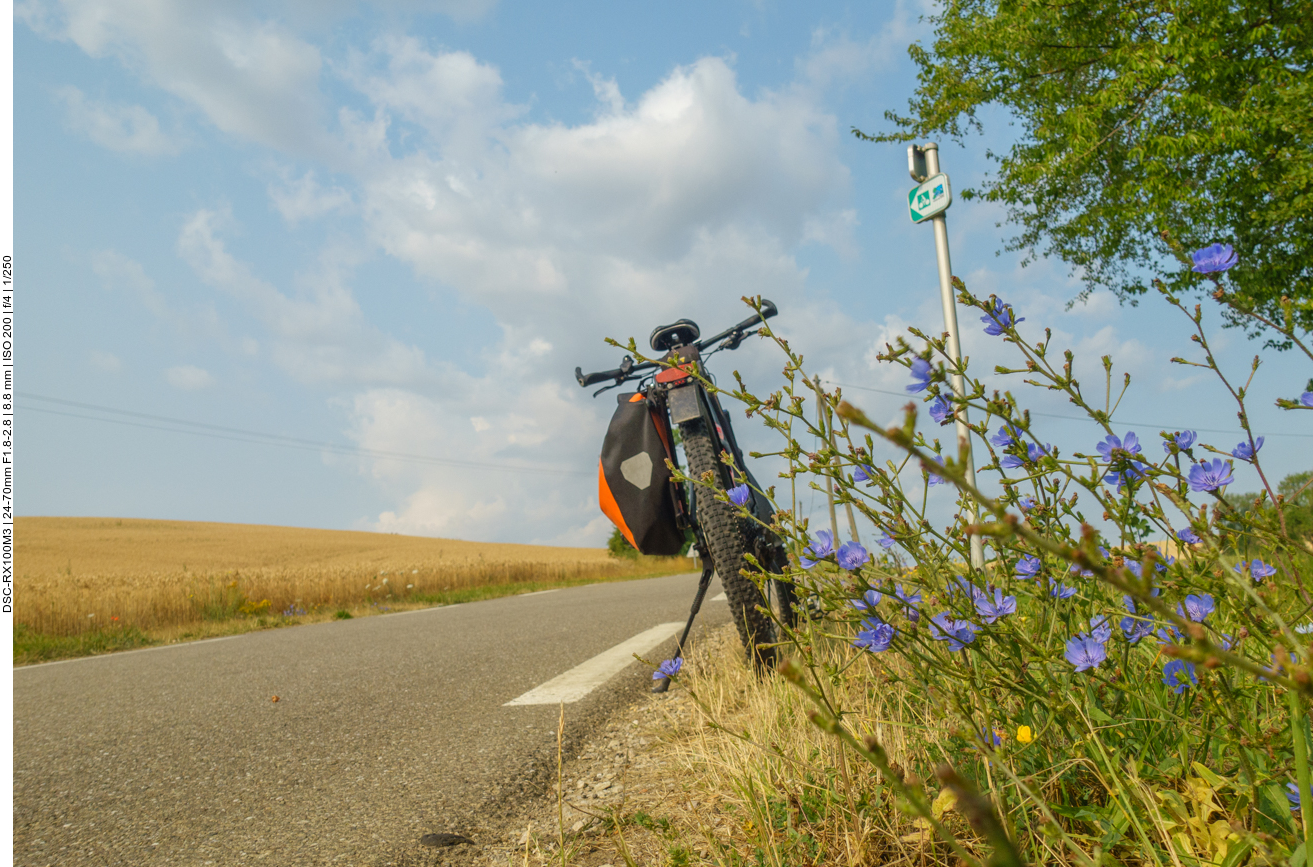 Auf einer blumigen Landstraße 