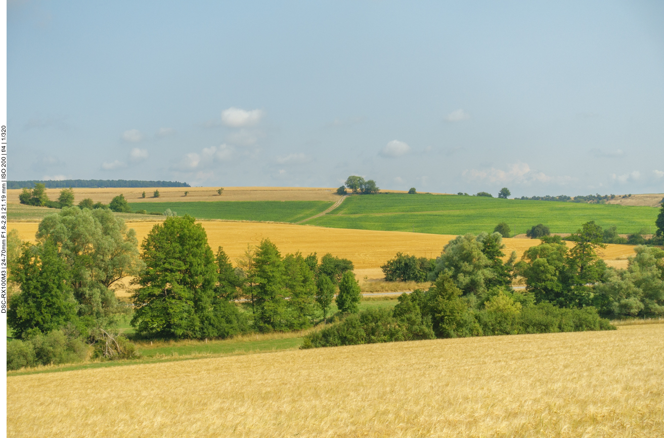 Bunte Felder 