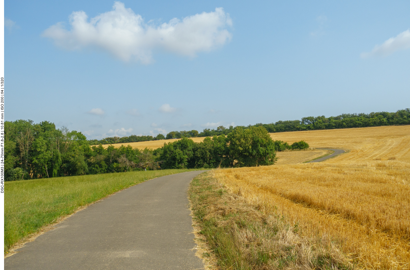 Mit stetigem auf und ab führt der Weg Richtung Zweibrücken 