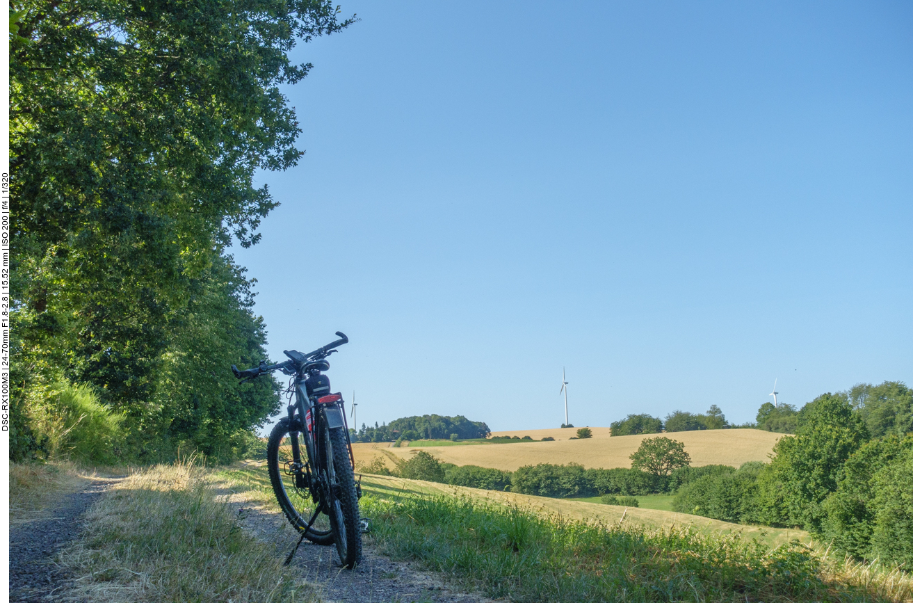 Pause im Schatten 