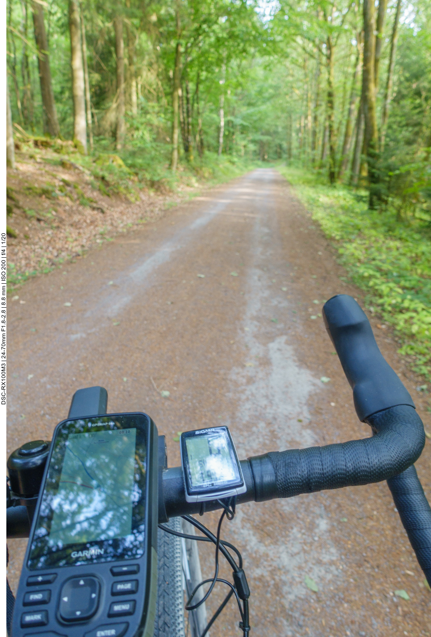 Ab durch den Wald 