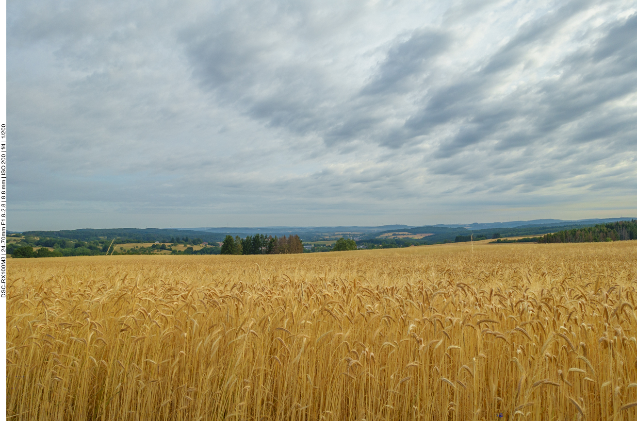 Hügel und Felder 