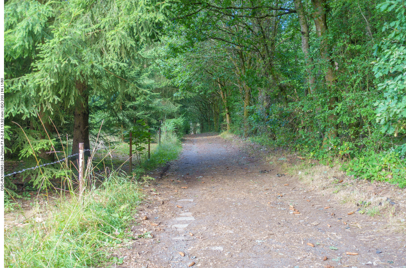 Auf "Rau-Asphalt" (Endurosprache für nicht geteerte Wege ;-) ) geht es weiter 