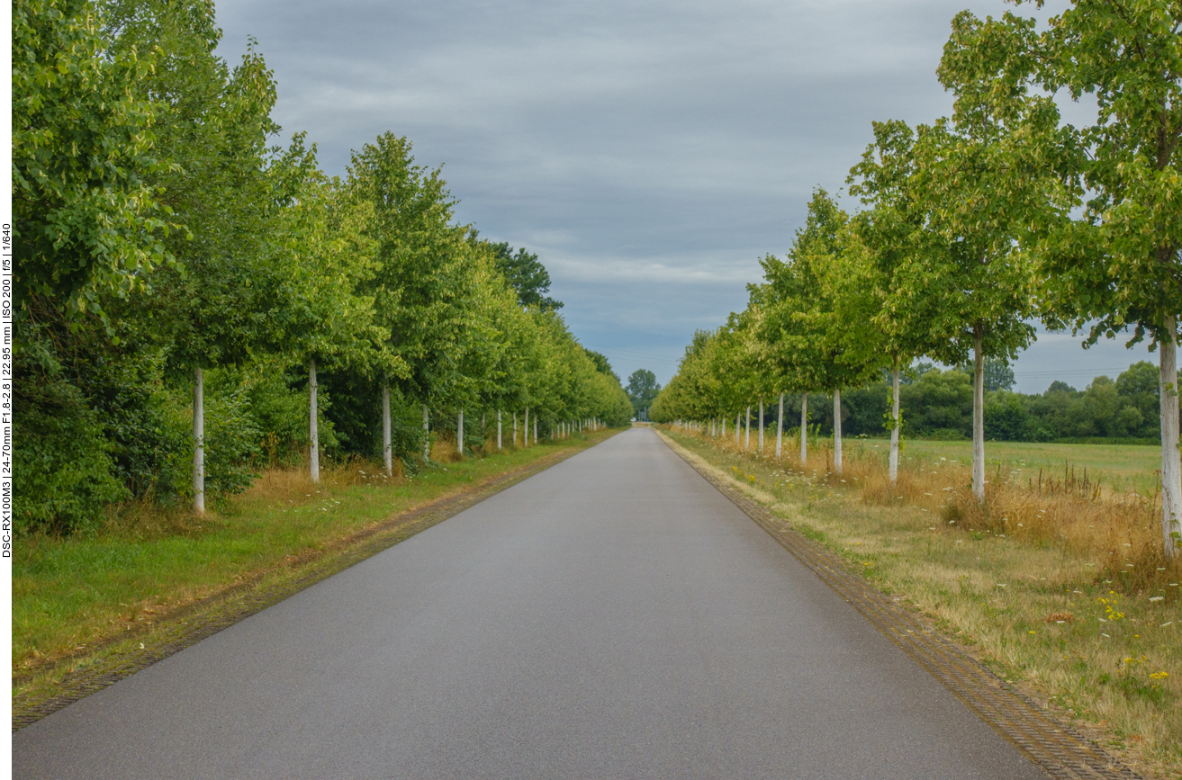Lindenallee