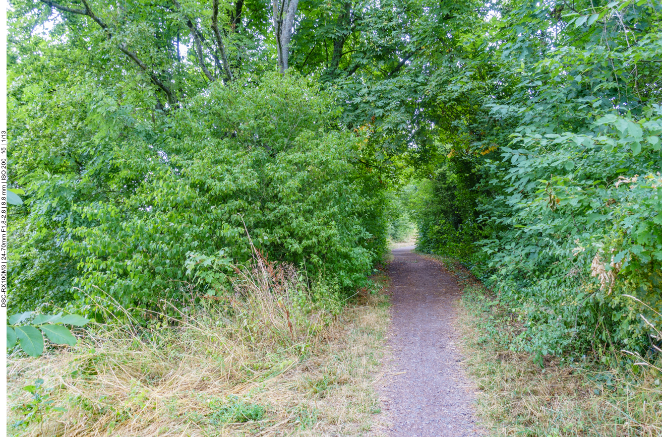 Der schmale Weg ... 