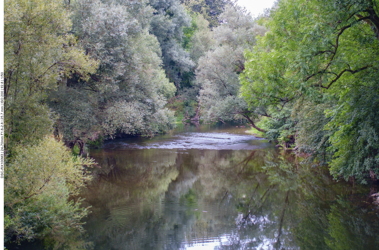 Am Nied-Altarm 