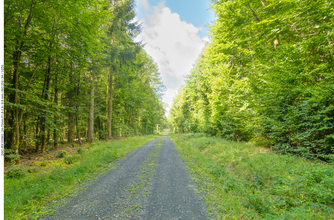 Endlich mal ein Schotterweg