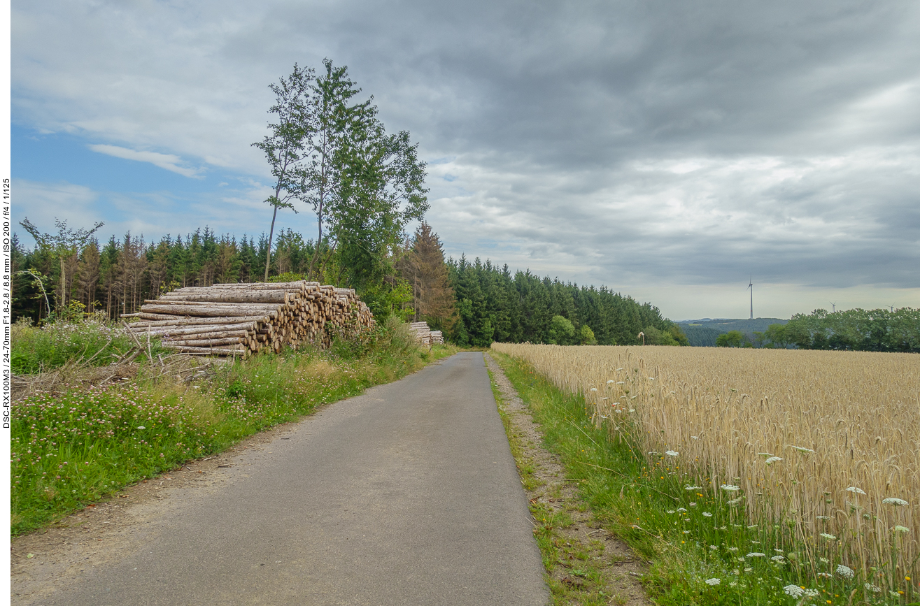 Endlich wieder abseits der Straße