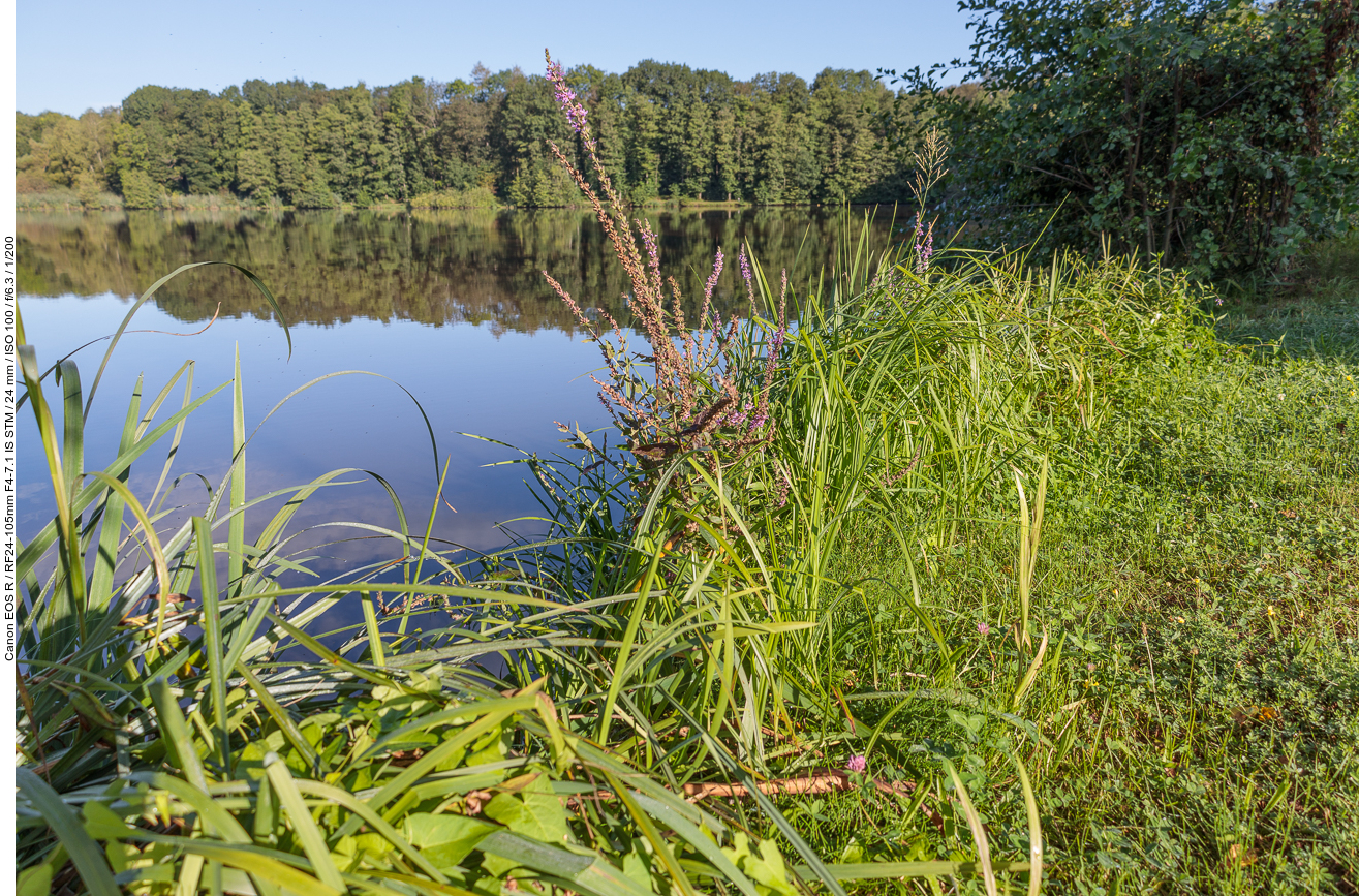Am Motschweiher