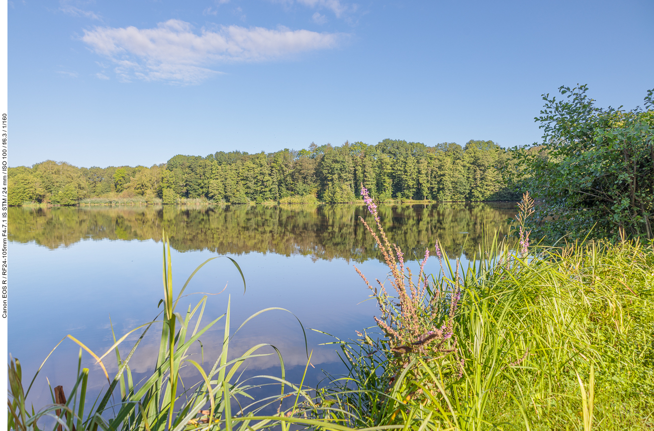 Am Motschweiher