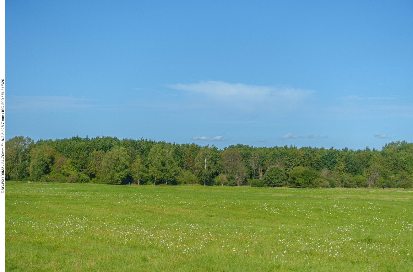 Wiese und Wald bei Ramstein