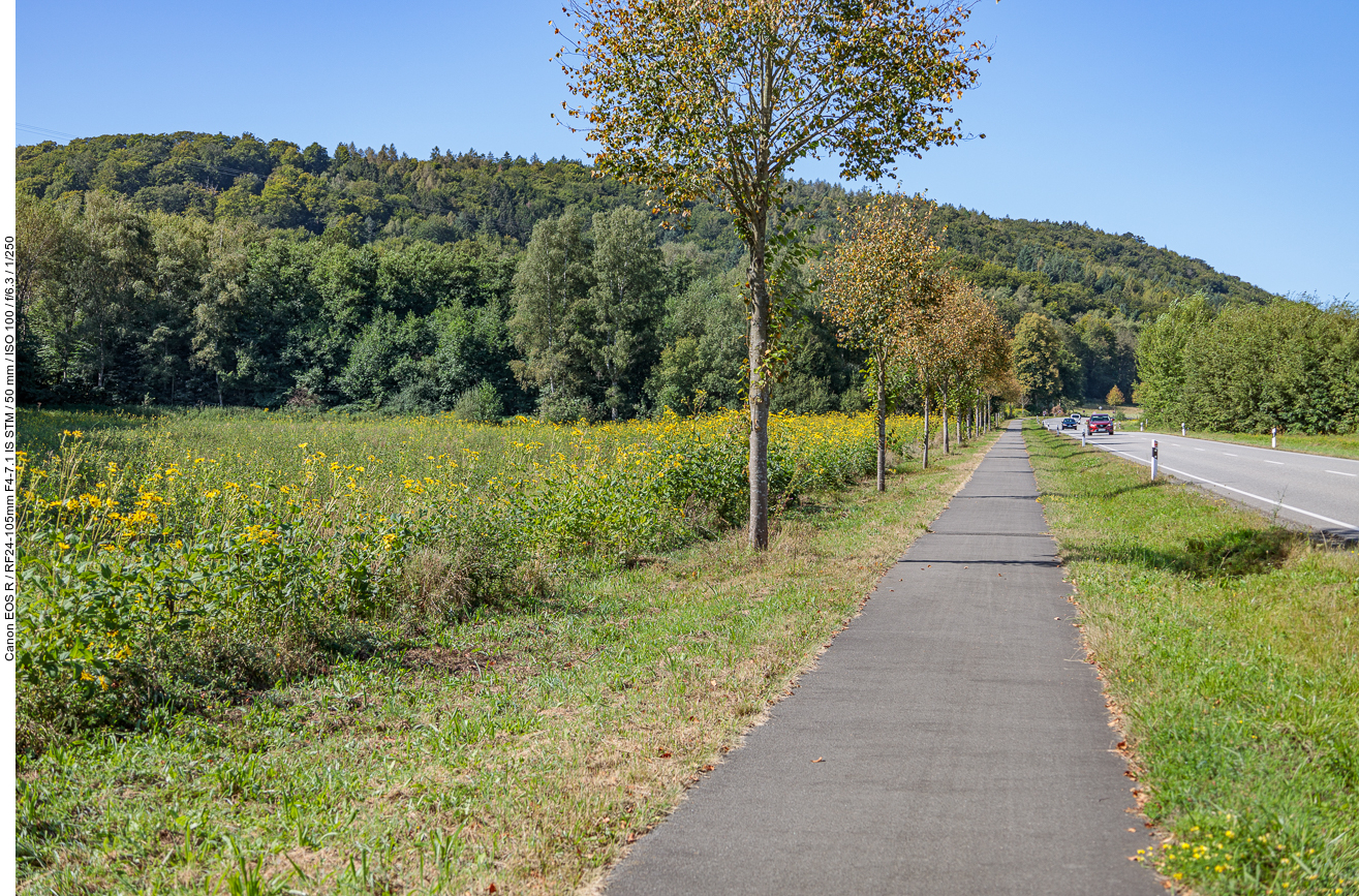 Immer an der Straße entlang :-(