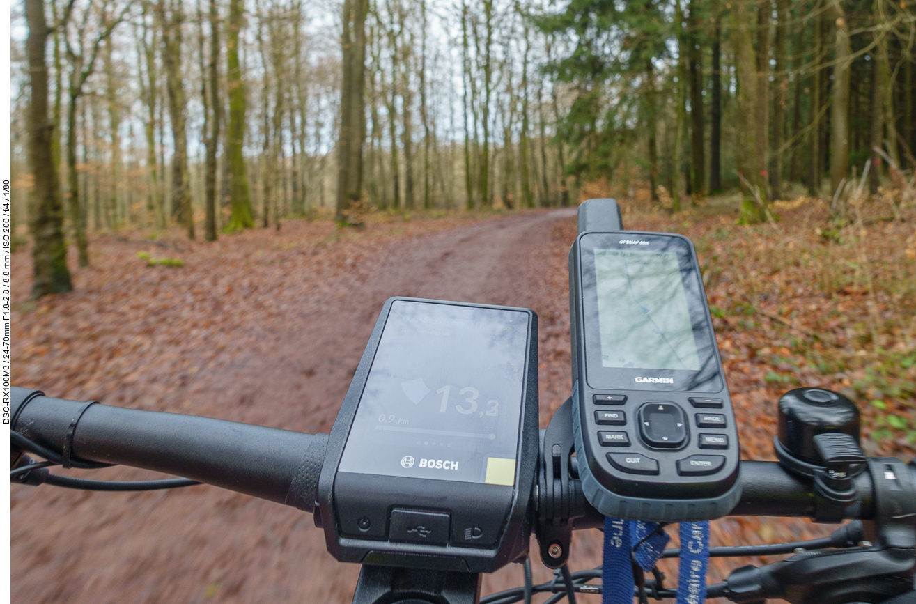 Als erstes ging es gleich in den Wald