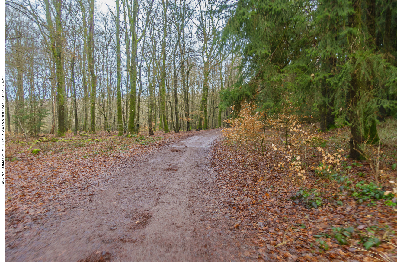 Aufgeweichter Boden nach dem langen Regen