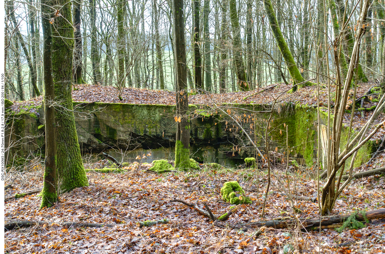 Alter Bunker im Wald