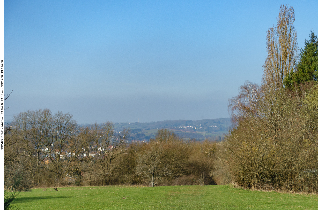 Wiesenweg bei Hüttigweiler