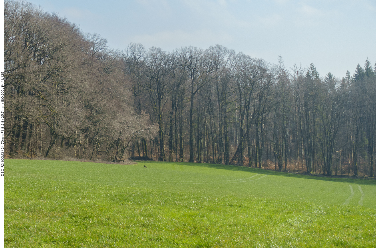 Der kleine Punkt auf der Wiese ist ein Reh ;-)