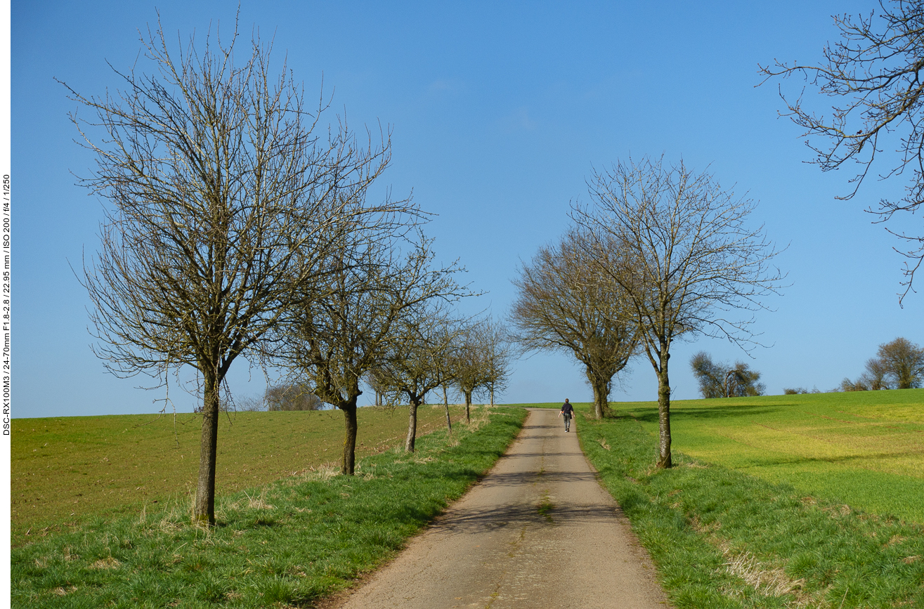 Eine andere kleine Allee