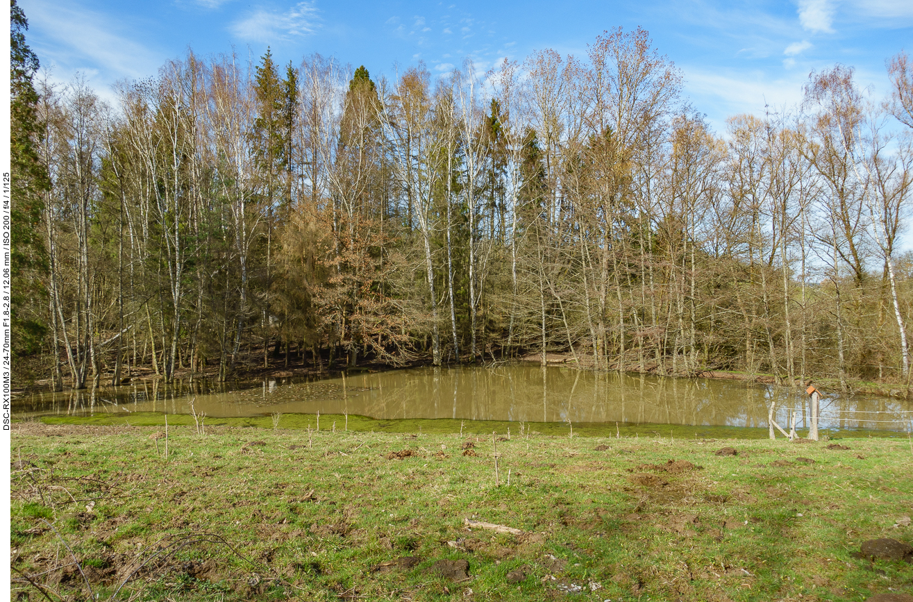 Das übliche Gebiet der Wasserbüffel