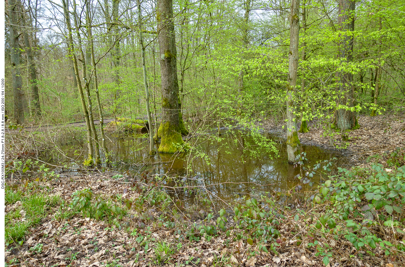 Restwasser vom Regen der letzten Tage ... Wochen