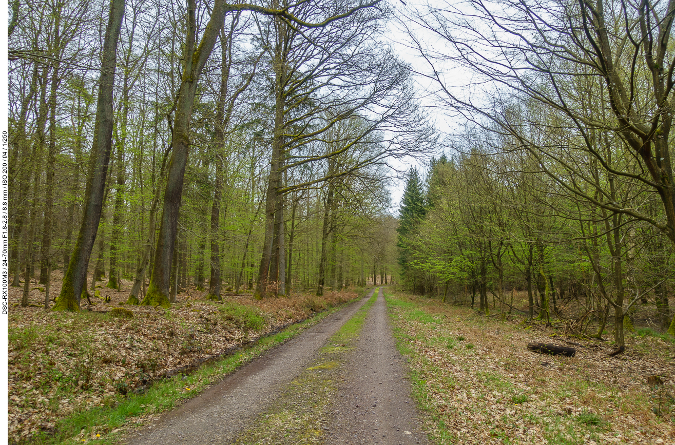 Auf dem Weg ...