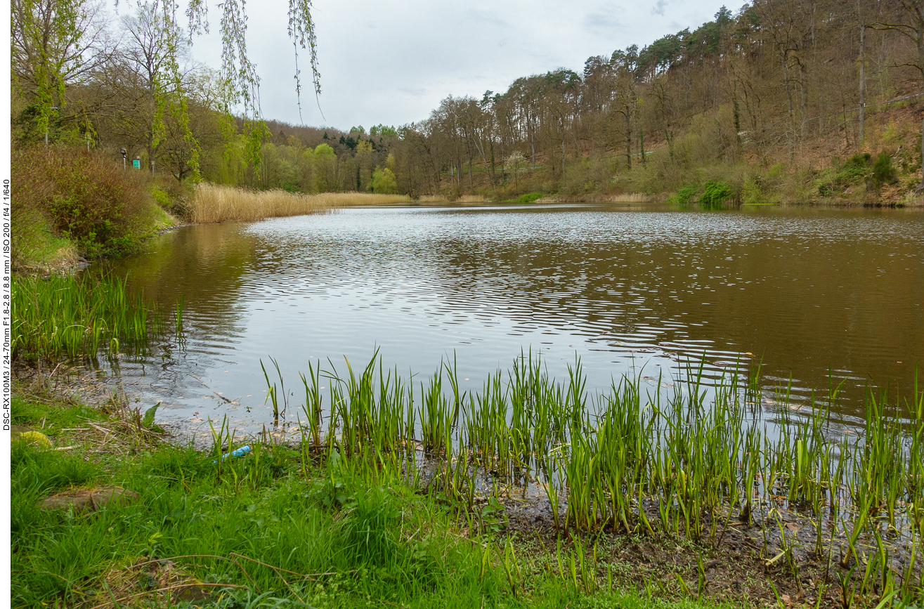 Der Mühlenweiher bei St. Nikolaus