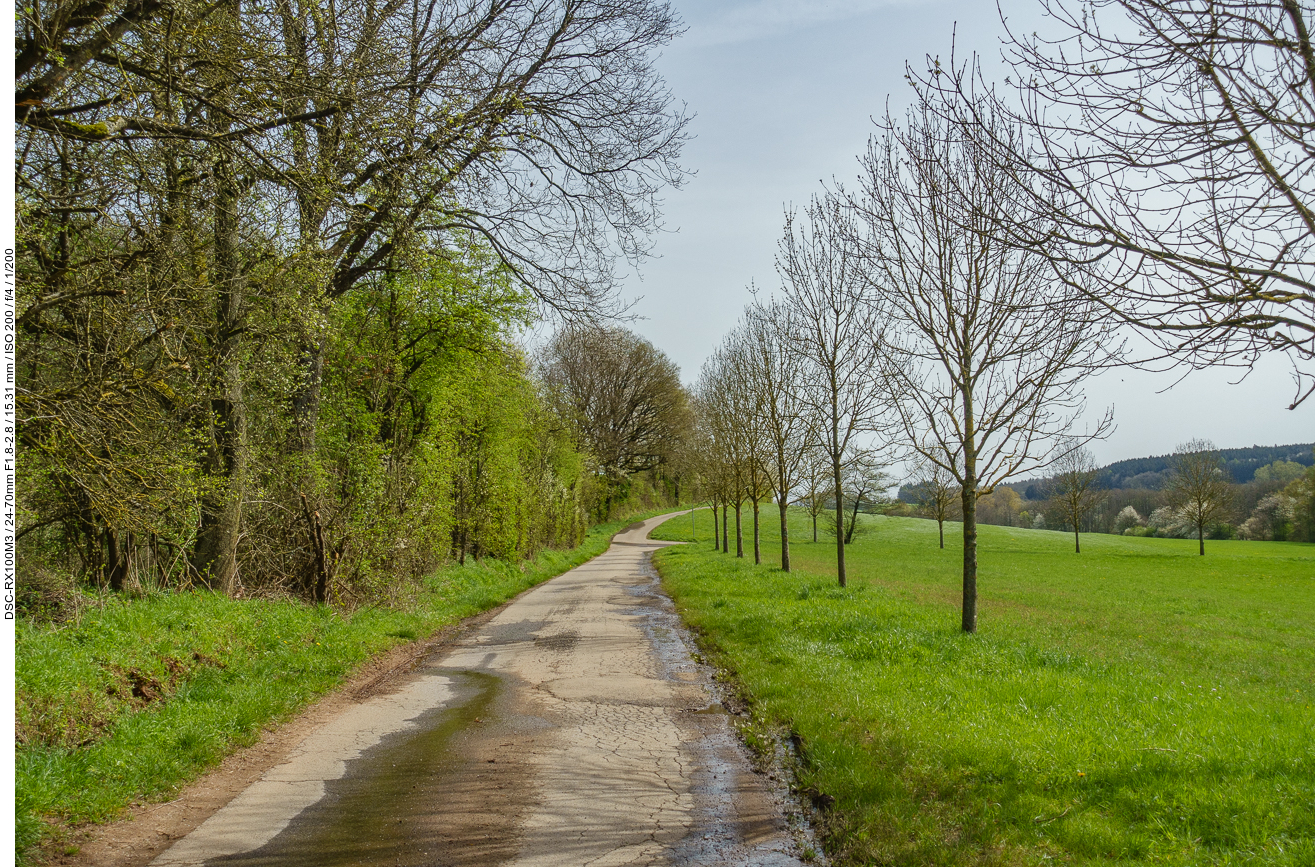 Halbe Allee