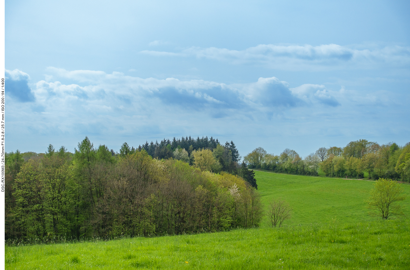 Frühjahrs-Landschaft