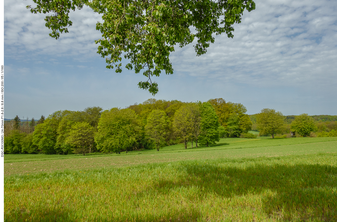Ausblick von der Rastbank