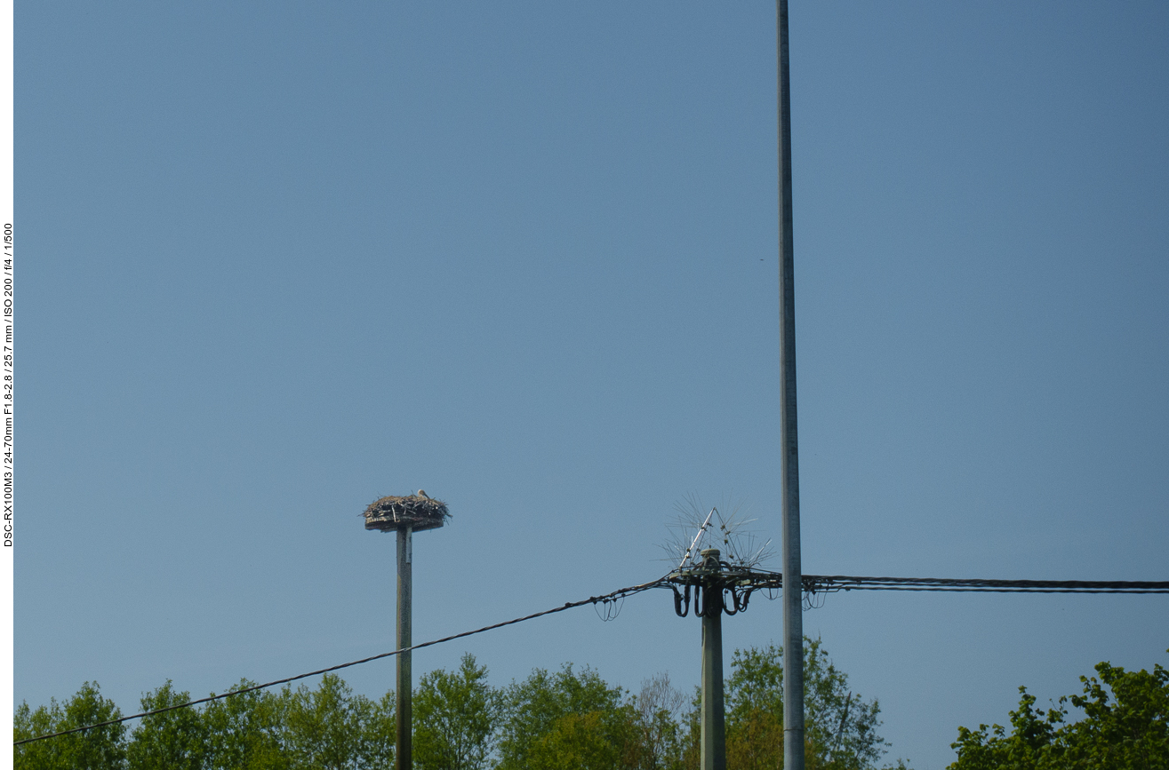 Wieder am Zielort, hier steht das Nest von Randale-Storch "Jean-Jaques" (er soll Haustüren und Autos attackieren)