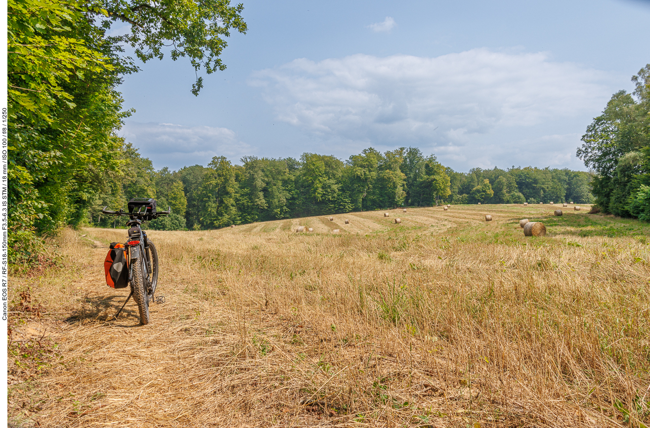 Weg durch die Landschaft