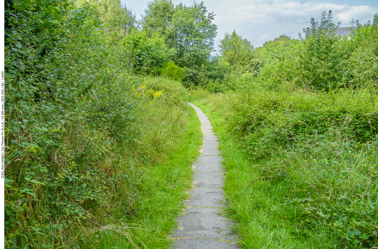 Plattenweg